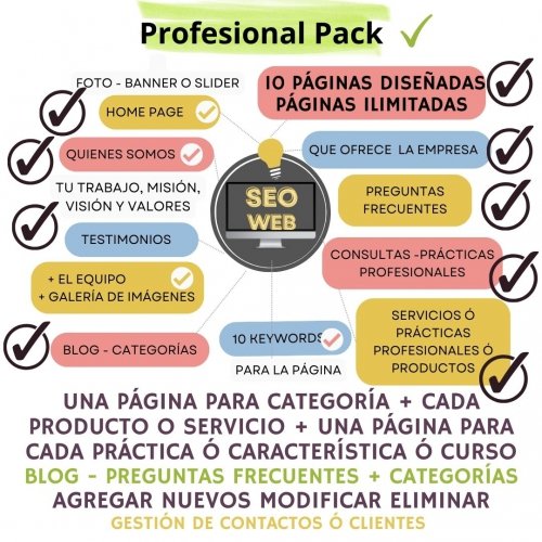 Web Profesional con Blog